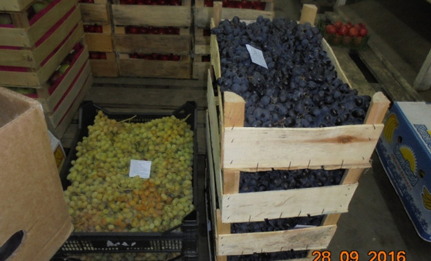 В Кирове уничтожили 7 ящиков свежего винограда