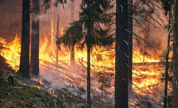 В Кировской области могут загореться леса