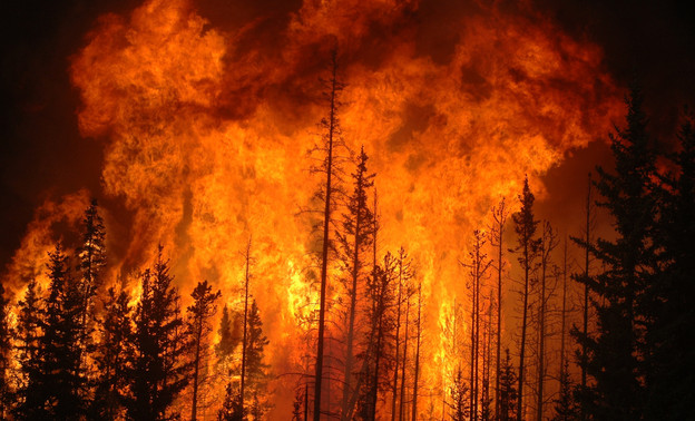 В праздничные дни в Кировской области произошло 4 лесных пожара