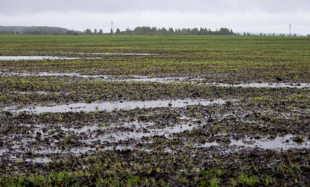 В девяти районах Кировской области ввели режим ЧС из-за переувлажнения почвы