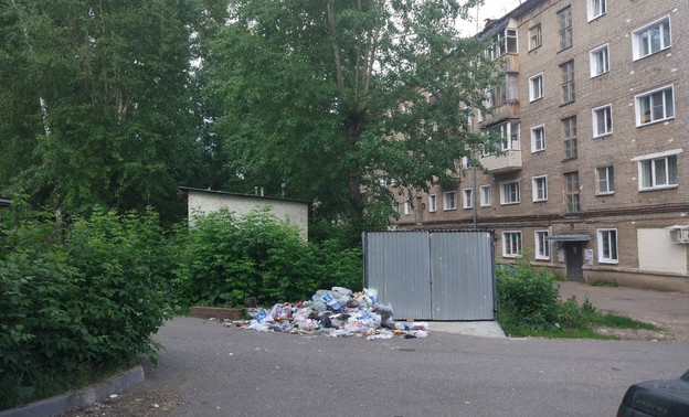 Кировчане смогут пожаловаться на проблемы с мусором федеральному экологическому оператору