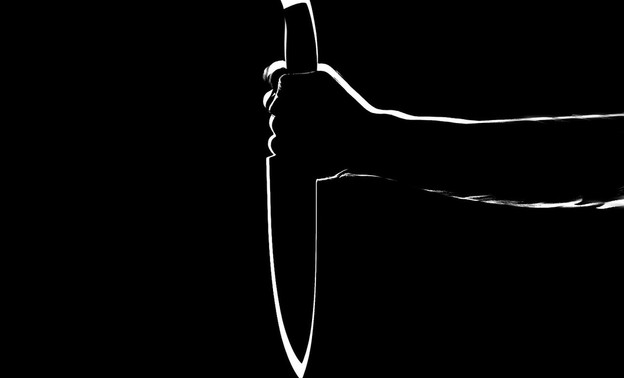 В Кировской области осудили женщину, ударившую ножом инвалида