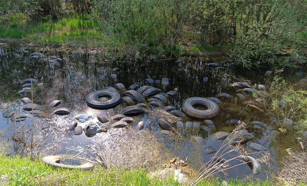 Свалку шин в районе кировского речного порта ликвидируют