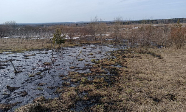 Выбросы предприятием сточных вод в деревне Салтыки подтвердили в минприроды