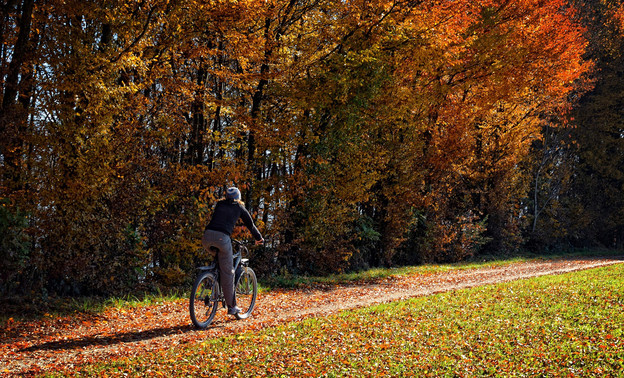 Осень на велосипеде. Советы для самых активных