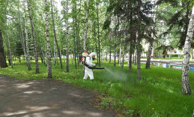 Все парки Кирова обработают от клещей к 9 мая