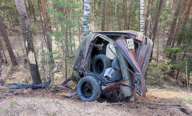 В Вятскополянском районе погиб водитель легковушки после столкновения с деревом