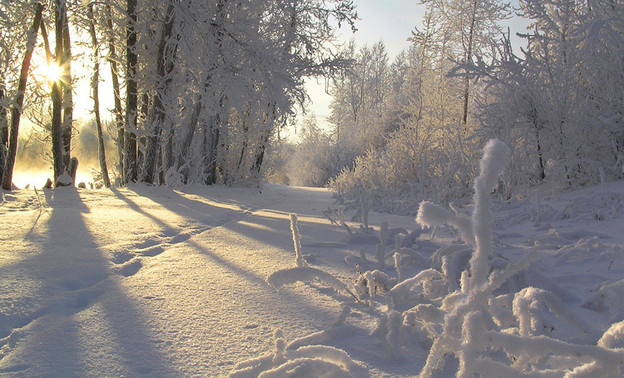 Погода в Кирове. На неделе ожидается морозная и солнечная погода