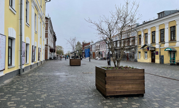 На улицах Кирова установят 100 контейнеров с растениями