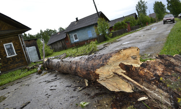 Сильный ветер и грозы: МЧС объявило метеопредупреждение в Кировской области