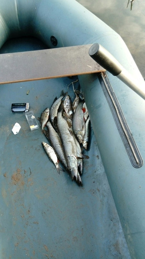 Новости с водоёмов. Большой отчёт с рыбалки кировчан в выходные 2 - 3 сентября