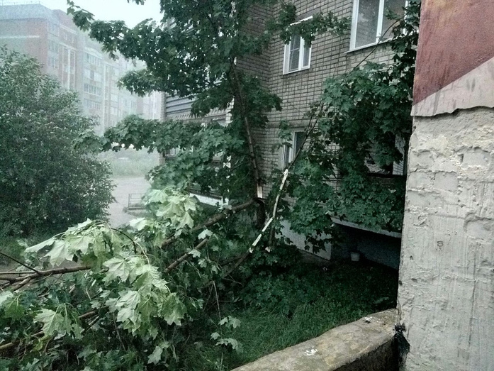 Уплывший асфальт, оползни и поваленные деревья. Последствия урагана в Кирове