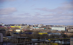 В Кировской области количество компаний-экспортёров выросло на 26 %