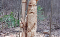Кировчанин вырезал фигуру из дерева в лесу