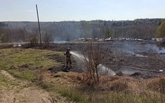 В Сунском районе на месте работы металлоискателей выгорела трава на 500 квадратных метрах