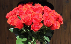 Свежие голландские розы за 70 рублей в «Дискаунтере Цветов»