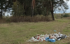 В Заречном парке обнаружили две кучи бытового мусора