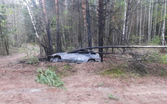 В Вятскополянском районе Kalina врезалась в дерево и загорелась. Есть пострадавший