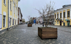 На улицах Кирова установят 100 контейнеров с растениями