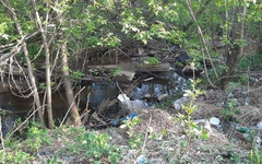 В Нововятске проведут субботник по уборке реки Чумовицы от мусора