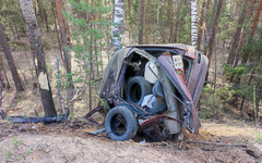 В Вятскополянском районе погиб водитель легковушки после столкновения с деревом