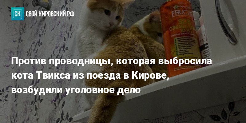 Почему выбросили кота твикса