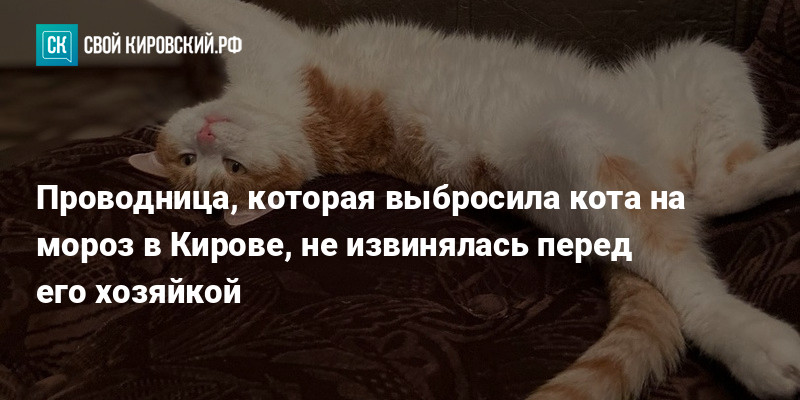 Имя проводницы выкинувшей кота твикса