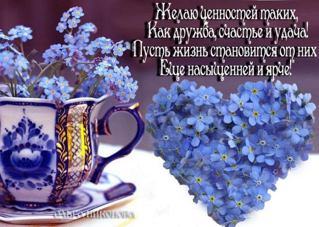 Чудесные голубые цветы
