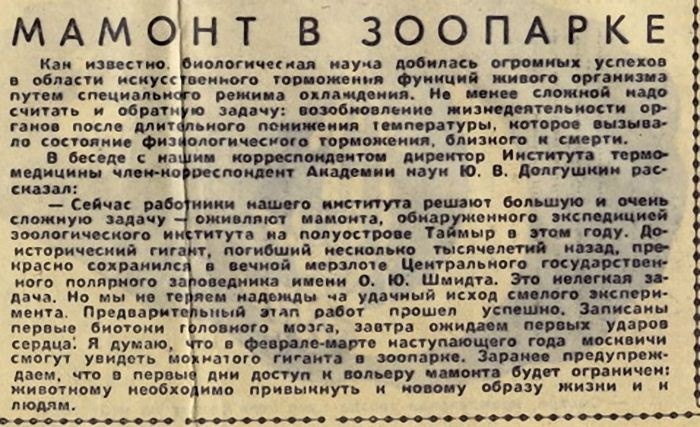 Газета из будущего "Комсомольская правда" от 1 января 2010 года