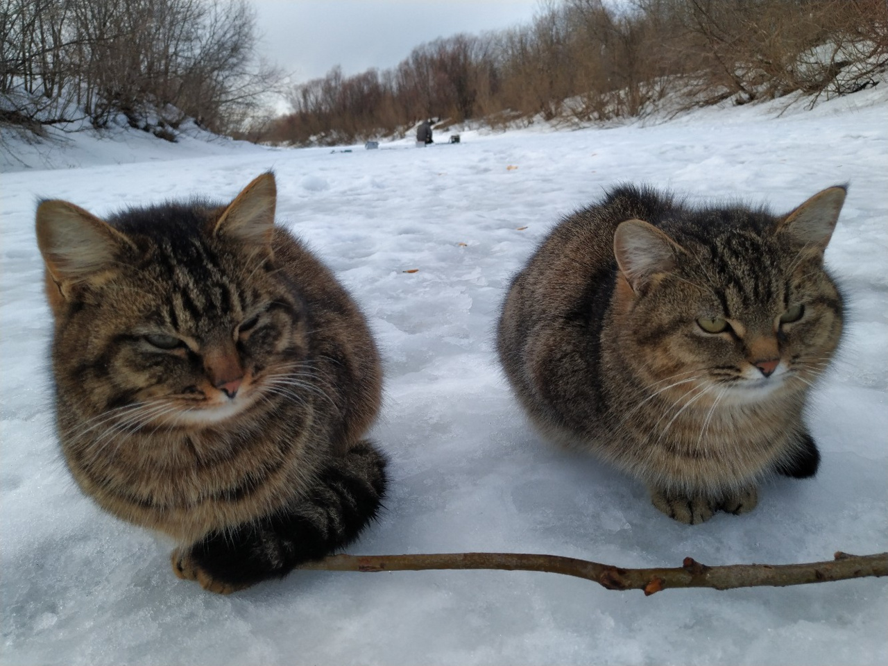 Загадочная чупакабра и улов для мартовских котов. Еженедельный отчёт с кировских водоёмов