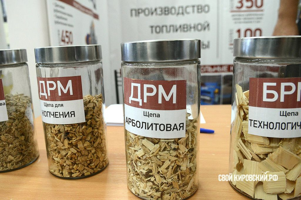 В ВятГУ стартовал международный форум BIOКиров-2015. ФОТО