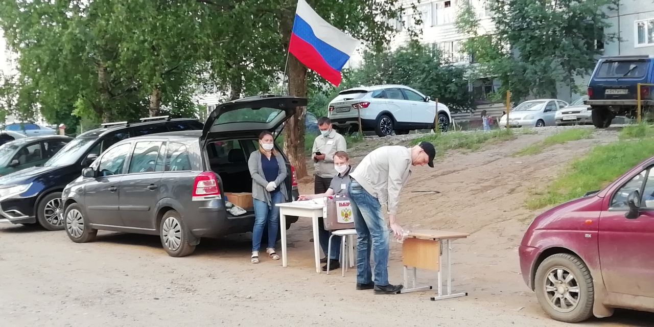 Лева выборов. Голосование на пеньках. Выборы на пеньках. Голосование на пеньках и в багажниках. Голосование по поправкам на пеньках.