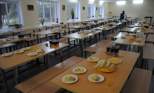 Котельничская Дума предложила отдать организацию школьного питания в руки частников