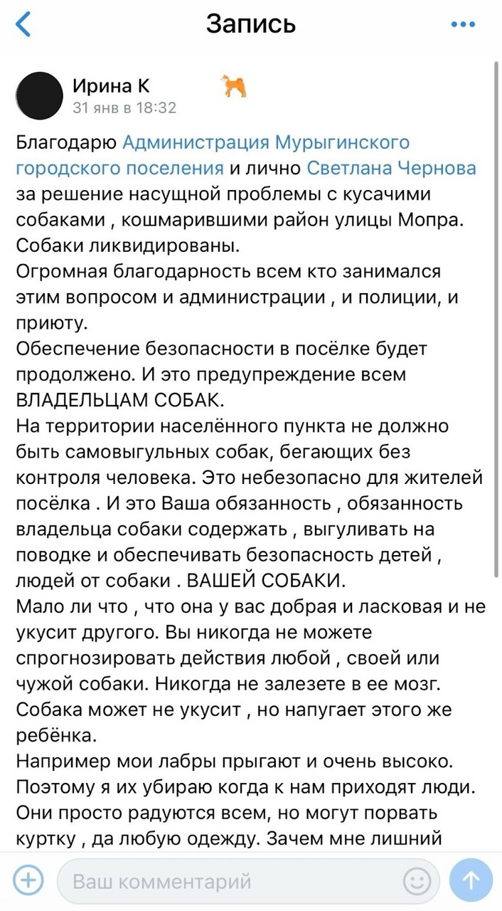 Не дали шансов на жизнь. Кировские зоозащитники добиваются правды по ситуации с умерщвлением собак в Мурыгино