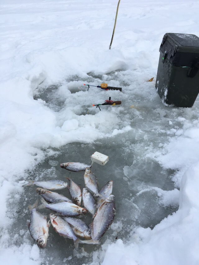 «Энергосберегающая» рыбалка и первые трофеи 2019. Новогодний отчёт с кировских водоёмов