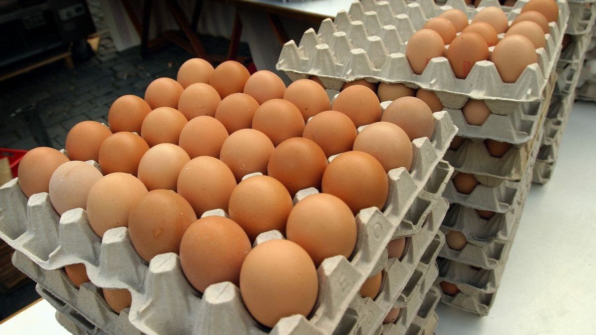 Цены на яйца в странах. Девяток яиц. Яйца в магазине. Десяток яиц. Хранение яиц.