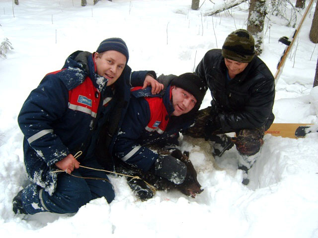 В Кировской области на свалке нашли медвежонка