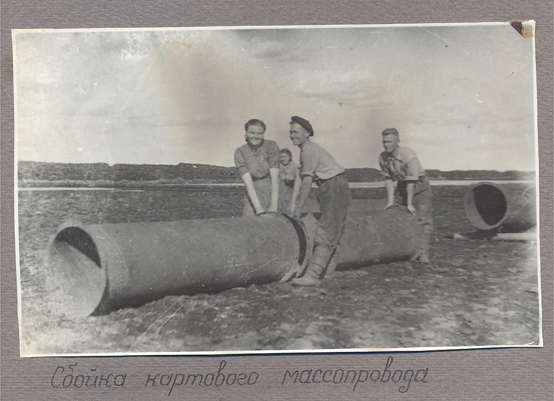 Построить за пять месяцев: история рождения ТЭЦ-3 и посёлка Каринторф