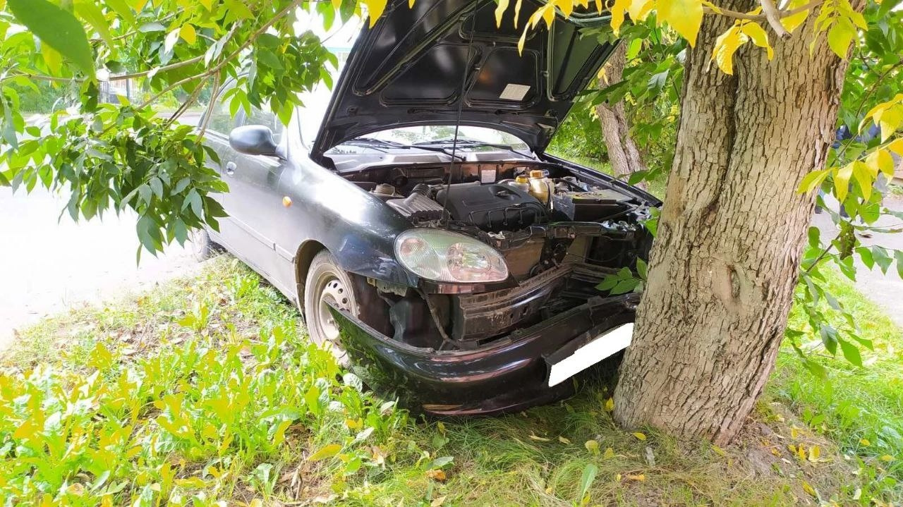 В Котельниче водитель автомобиля врезался в дерево | 12.09.2023 | Киров -  БезФормата