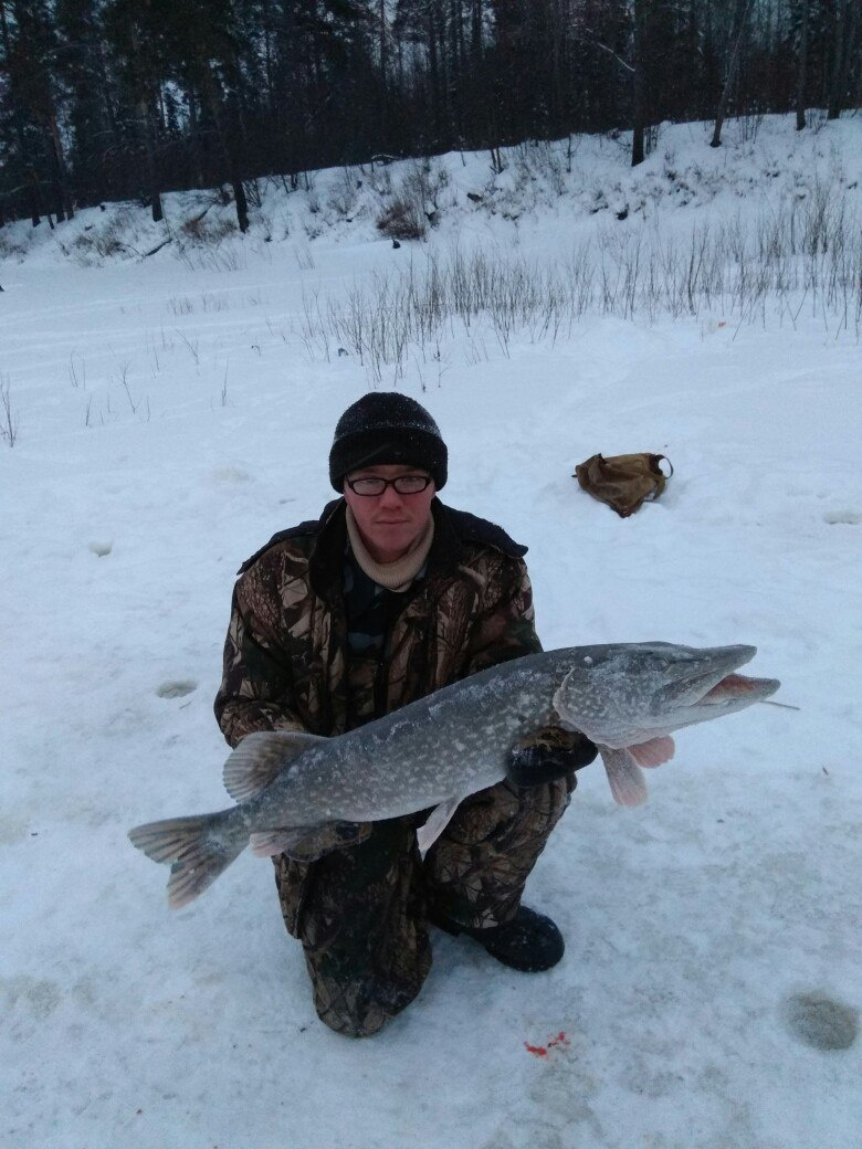 Отпущенный осётр и невероятный вятский горбач. Еженедельный отчёт о рыбалке в Кировской области