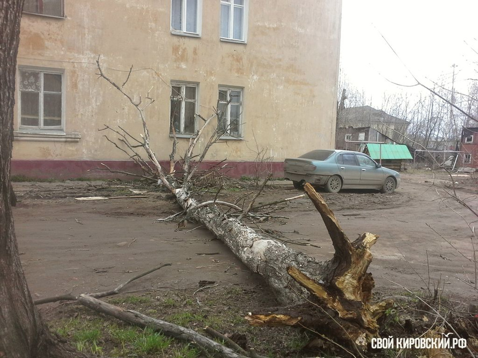 В Кирове у Дворца бракосочетания ураган опрокинул остановку