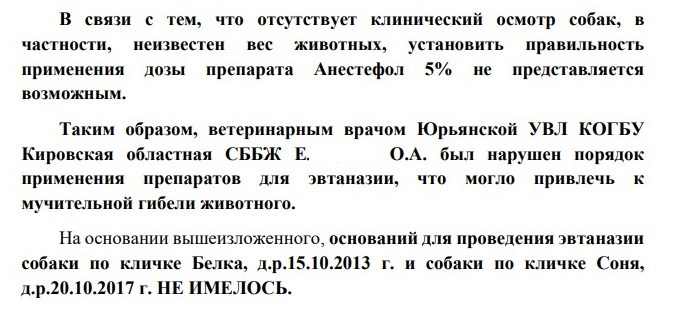 Не дали шансов на жизнь. Кировские зоозащитники добиваются правды по ситуации с умерщвлением собак в Мурыгино