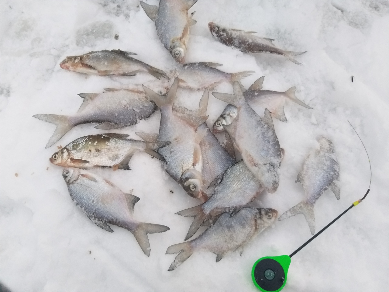 Рыбаки недовольны, но улов есть. Еженедельный отчёт с кировских водоёмов