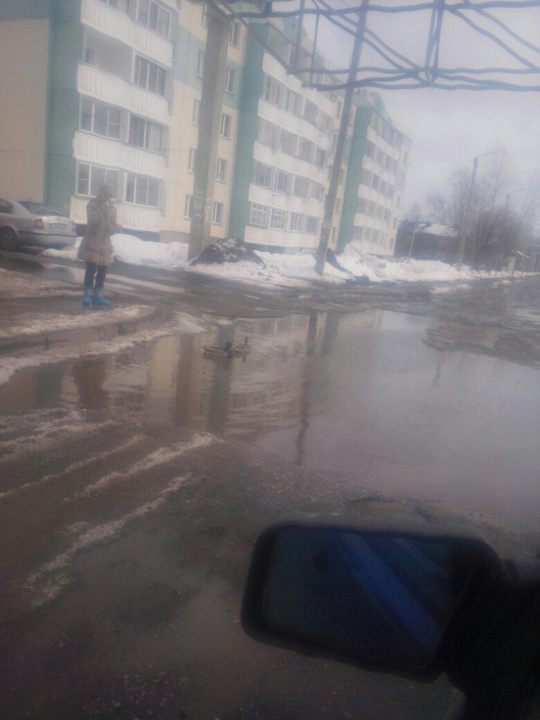 Дорожные ямы в Кирове пришлись по душе уткам (ФОТО)