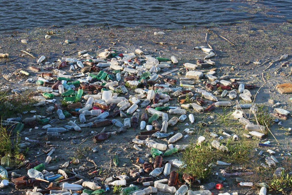 Фото загрязнения водоемов