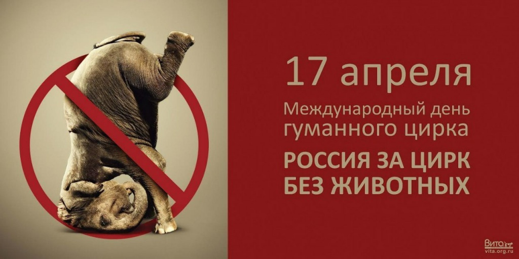 Кировчане выйдут на пикет против цирков с животными