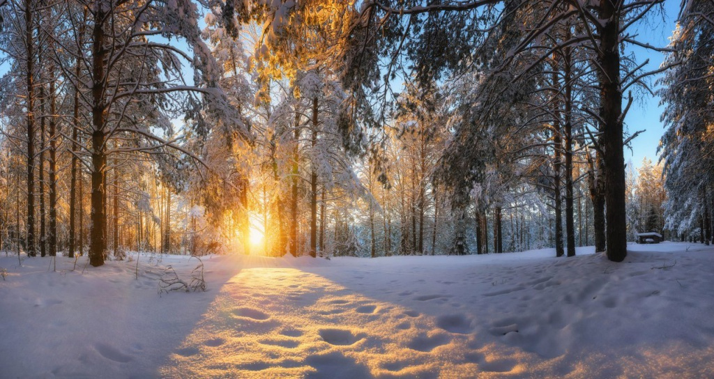 «Сказочная зима». Провожаем зиму выставкой лучших фотографий