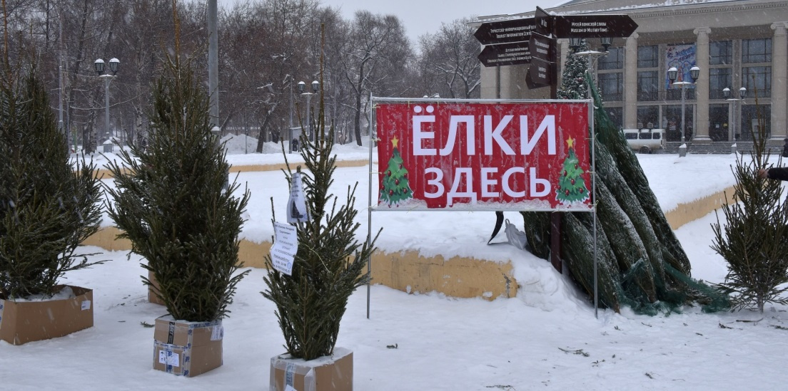 Елочный базар адреса. Елочный базар вывеска. Реклама живых елок. Ёлочный базар Киров. Баннер живые елки.