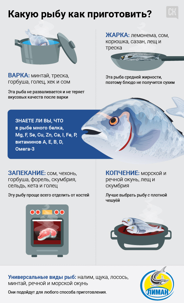 Как выбрать рыбу для жарки, варки и запекания?