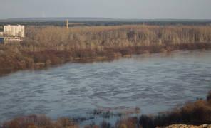 Индивидуалки со страпоном в Сосновке — Гранд путаны